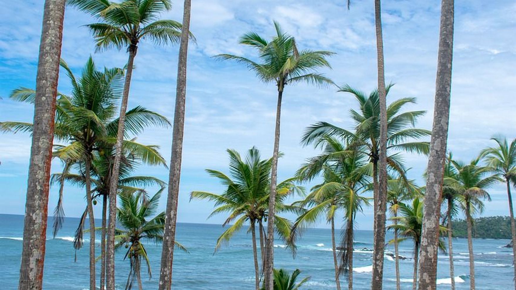Relaxing catamaran cruise around Sri Lanka