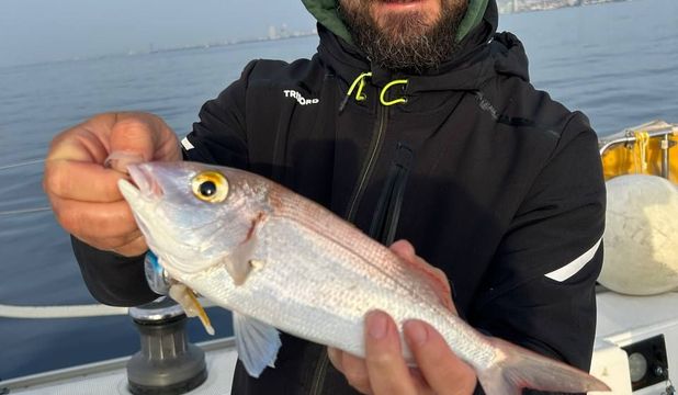 Fishing for litrini in Limassol