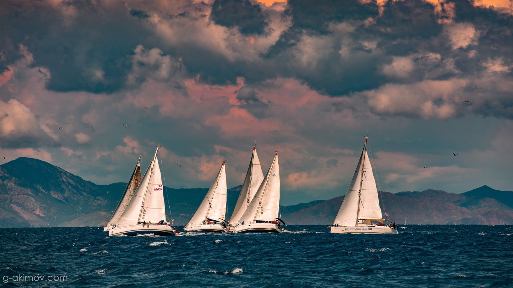 Russian sailing week Volvo 2020