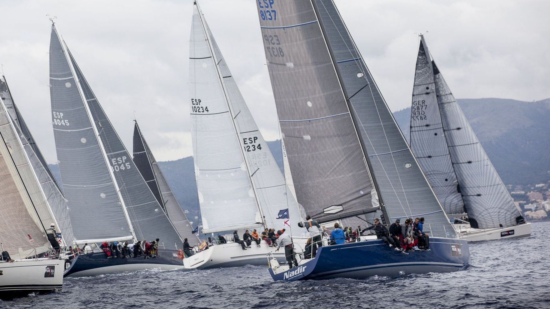 Palma Vela 2021