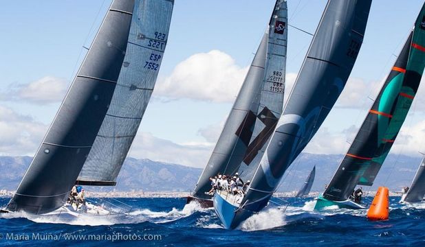 Palma Vela 2022