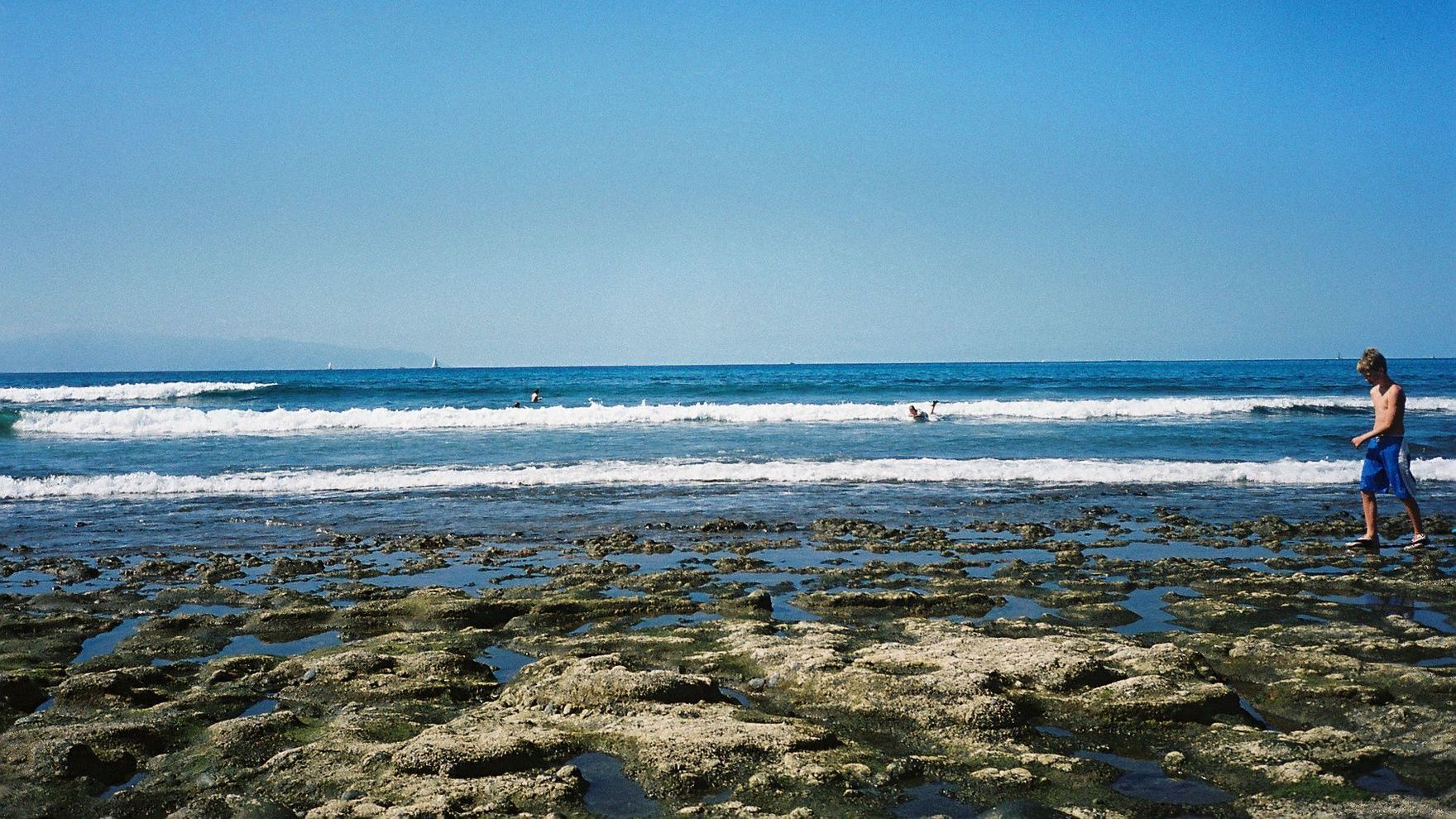 8th of March in the Canary Islands