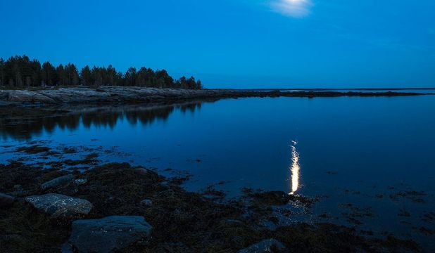 Экспедиция на Белое море
