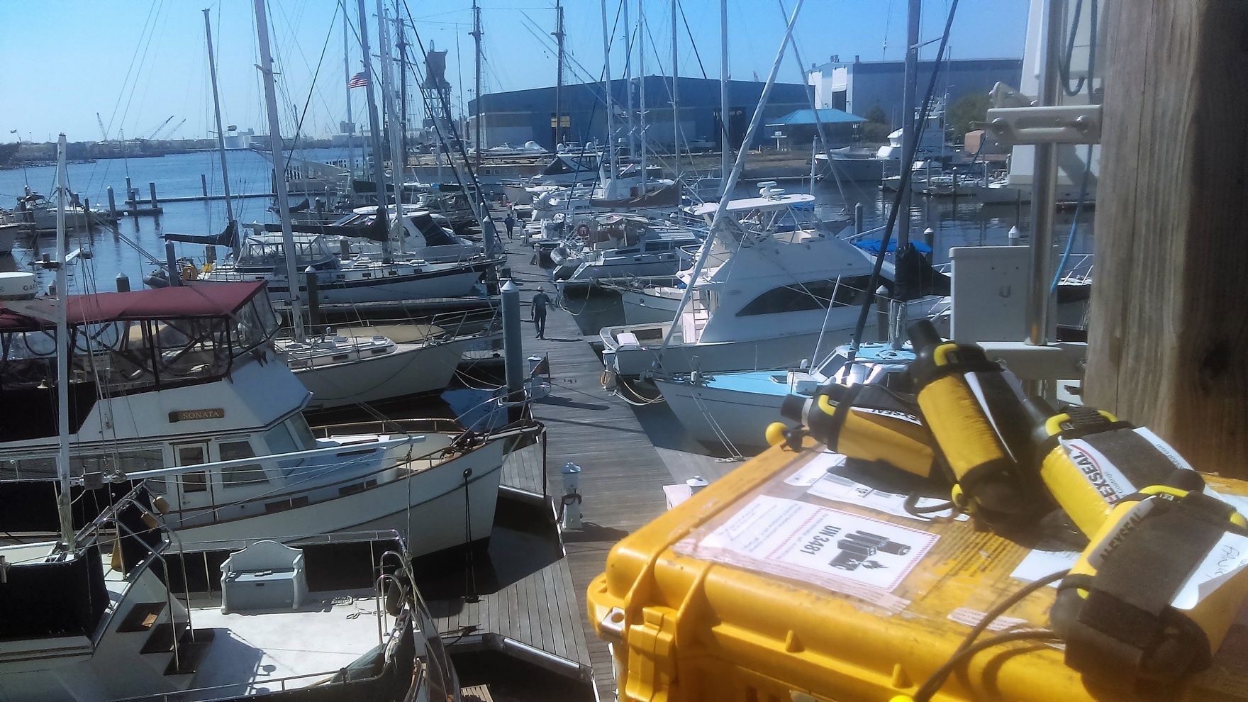 ARC TRANSATLANTIC RACE 2020