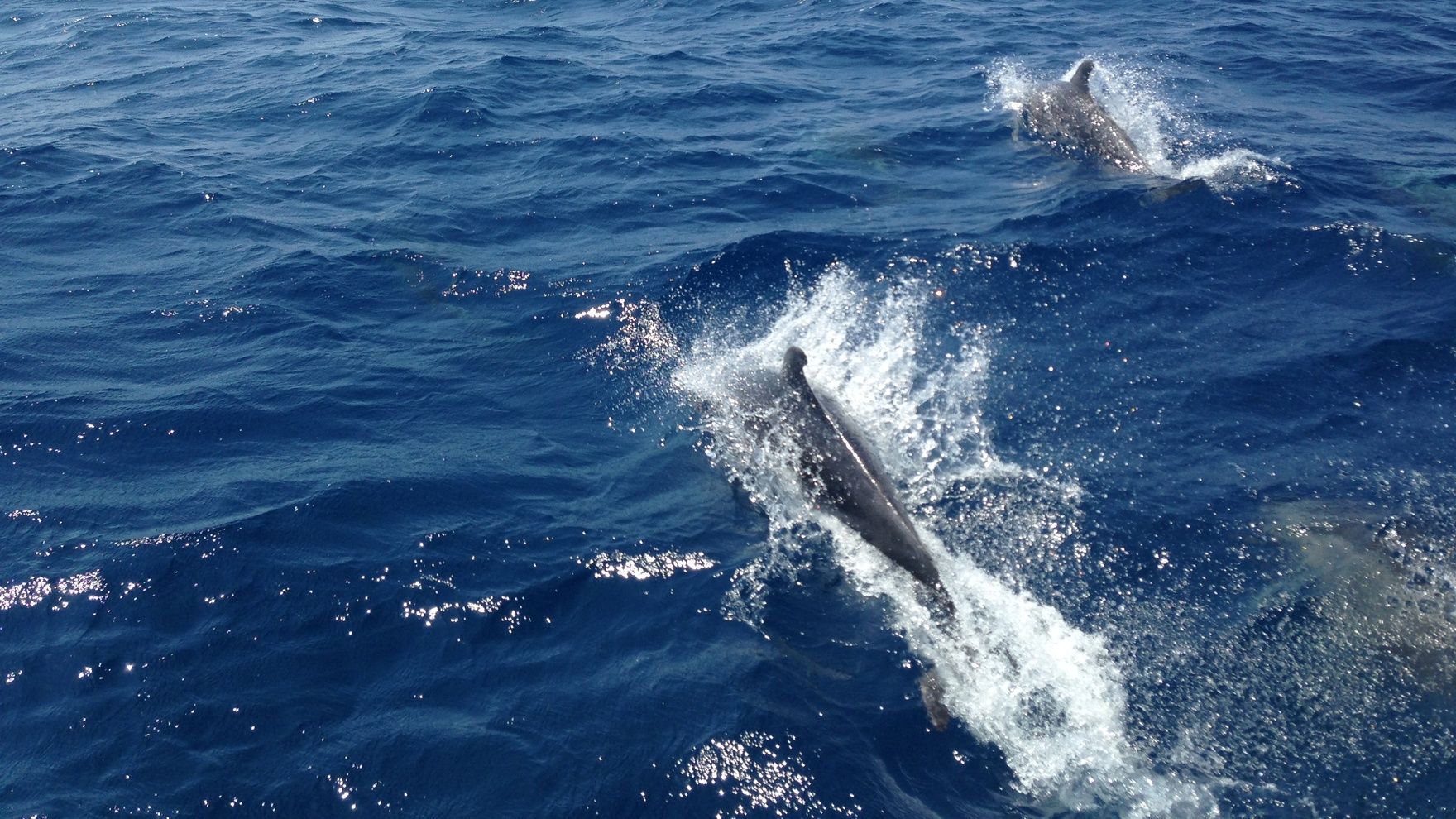 Autumn Atlantic Challenge 2020