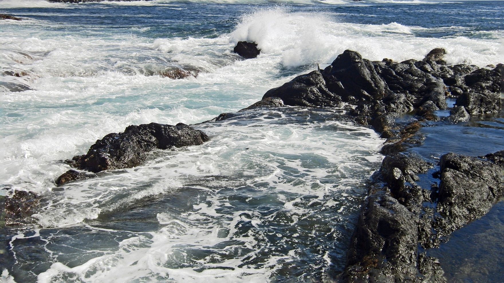 Expedition to the Azores