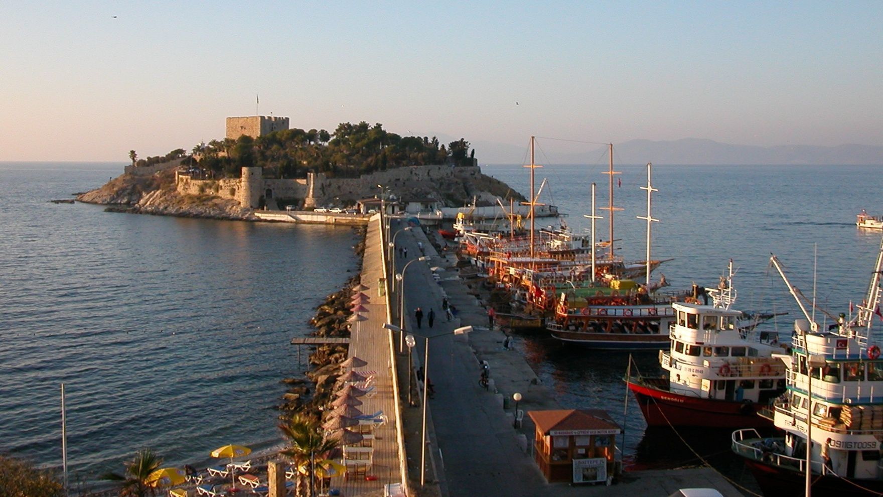 Exotic Turkey