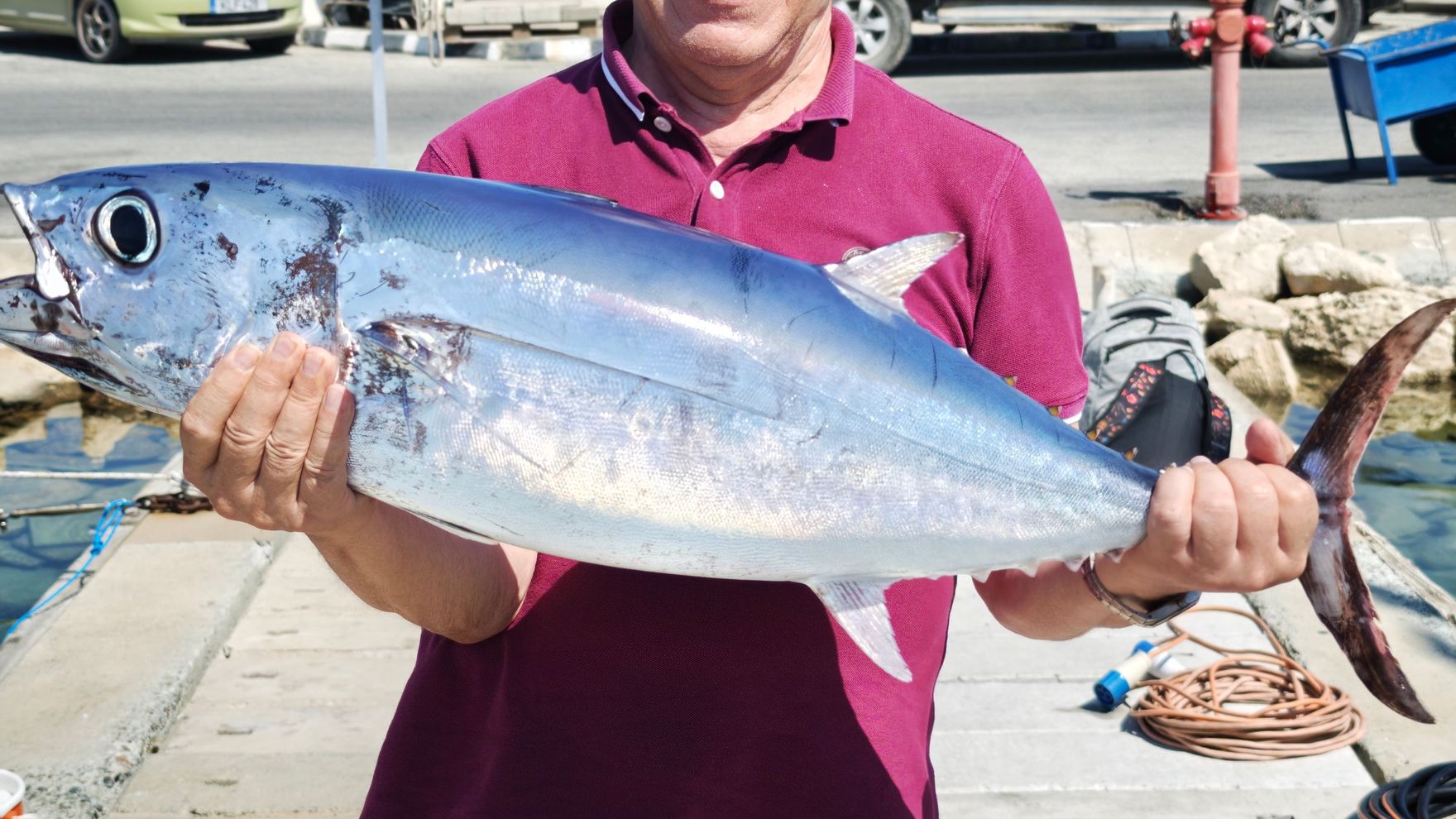 Tuna fishing with a motor boat in Cyprus