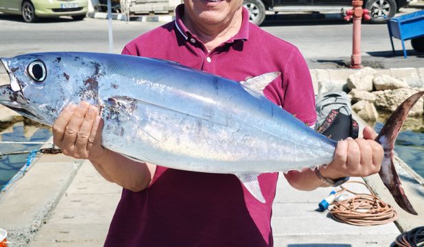 Tuna fishing with a motor boat in Cyprus
